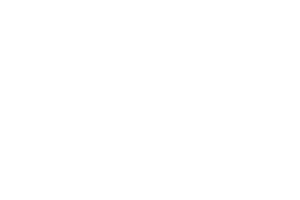 Honda | Fullgrain | Fractional CMO | Marketing Consultant | Nashville | Nashville Marketing Consultant | Fractional CMO | Nashville Marketing Consultant | Fractional CMO