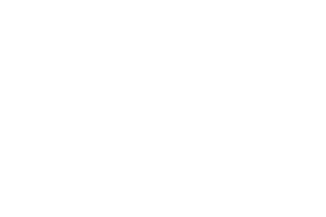 San Diego Zoo | Fullgrain | Fractional CMO | Marketing Consultant | Nashville | Nashville Marketing Consultant | Fractional CMO | Nashville Marketing Consultant | Fractional CMO