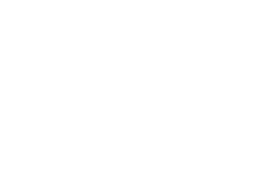 Snug Bug | Fullgrain | Fractional CMO | Marketing Consultant | Nashville | Nashville Marketing Consultant | Fractional CMO | Nashville Marketing Consultant | Fractional CMO