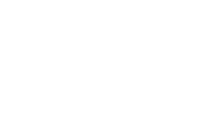 Southern Foliage | Fullgrain | Fractional CMO | Marketing Consultant | Nashville | Nashville Marketing Consultant | Fractional CMO | Nashville Marketing Consultant | Fractional CMO
