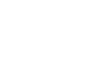 Vitalis | Fullgrain | Fractional CMO | Marketing Consultant | Nashville | Nashville Marketing Consultant | Fractional CMO | Nashville Marketing Consultant | Fractional CMO