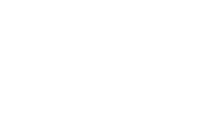 VIZIO | Fullgrain | Fractional CMO | Marketing Consultant | Nashville | Nashville Marketing Consultant | Fractional CMO | Nashville Marketing Consultant | Fractional CMO