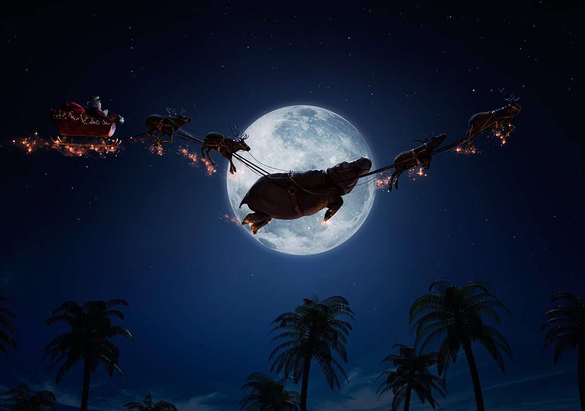 Santa's sleigh, pulled by reindeer and a hippo, flies across a bright full moon in a starry night sky above palm trees. | Jerad Schutt | Nashville Marketing Consultant | Fractional CMO | Jerad Schutt | Nashville Marketing Consultant | Fractional CMO