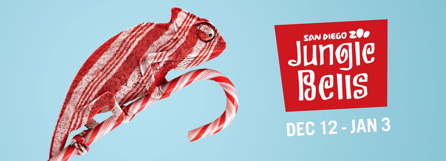 Promotional banner for San Diego Zoo Jungle Bells, with a red-striped chameleon perched on a candy cane and event dates on a blue background. | Jerad Schutt | Nashville Marketing Consultant | Fractional CMO | Jerad Schutt | Nashville Marketing Consultant | Fractional CMO