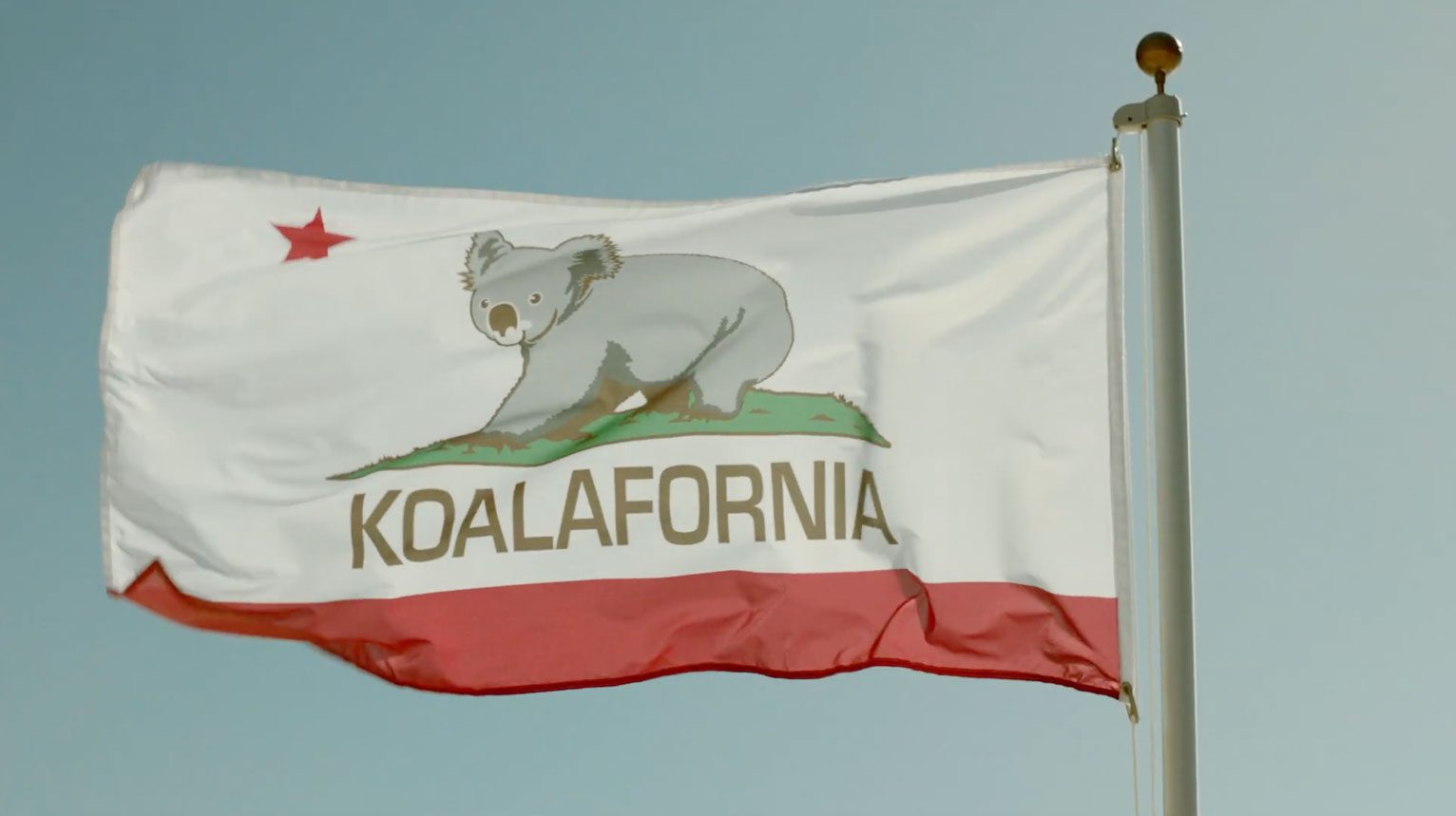 Flag with a gray koala on green grass, the word KOALAFORNIA, and a red bottom edge against a blue sky | Jerad Schutt | Nashville Marketing Consultant | Fractional CMO | Jerad Schutt | Nashville Marketing Consultant | Fractional CMO