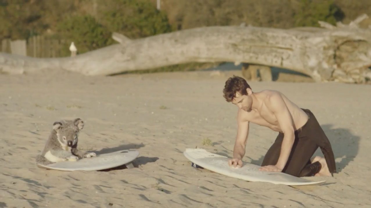 Male surfer kneeling and waxing a surfboard on a sandy beach beside a koala waxing its own surfboard. | Jerad Schutt | Nashville Marketing Consultant | Fractional CMO | Jerad Schutt | Nashville Marketing Consultant | Fractional CMO