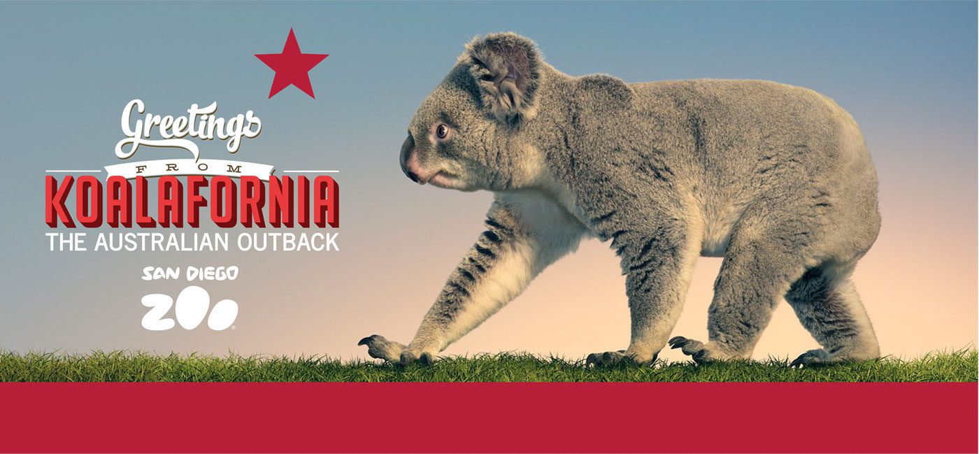 Poster showing a koala walking on grass against a blue-orange gradient sky, with bold red 'KOALAFORNIA' text and 'Greetings from' on the left side, and a red banner at the bottom. | Jerad Schutt | Nashville Marketing Consultant | Fractional CMO | Jerad Schutt | Nashville Marketing Consultant | Fractional CMO