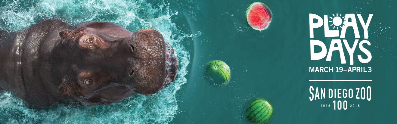 Banner promoting San Diego Zoo Play Days with a hippo in turquoise water and floating watermelons | Jerad Schutt | Nashville Marketing Consultant | Fractional CMO | Jerad Schutt | Nashville Marketing Consultant | Fractional CMO