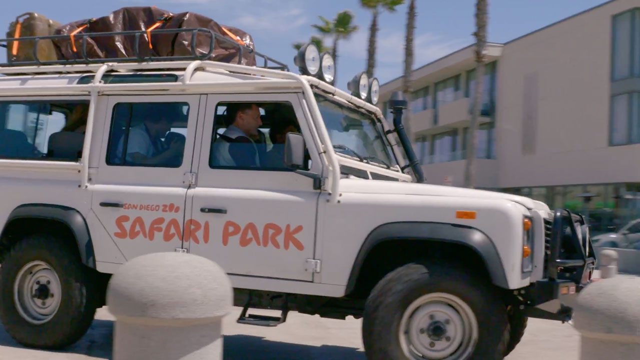 White safari tour vehicle with luggage on roof rack, door text reads 'San Diego 2016 Safari Park' driving past a modern building and palm trees. | Jerad Schutt | Nashville Marketing Consultant | Fractional CMO | Jerad Schutt | Nashville Marketing Consultant | Fractional CMO
