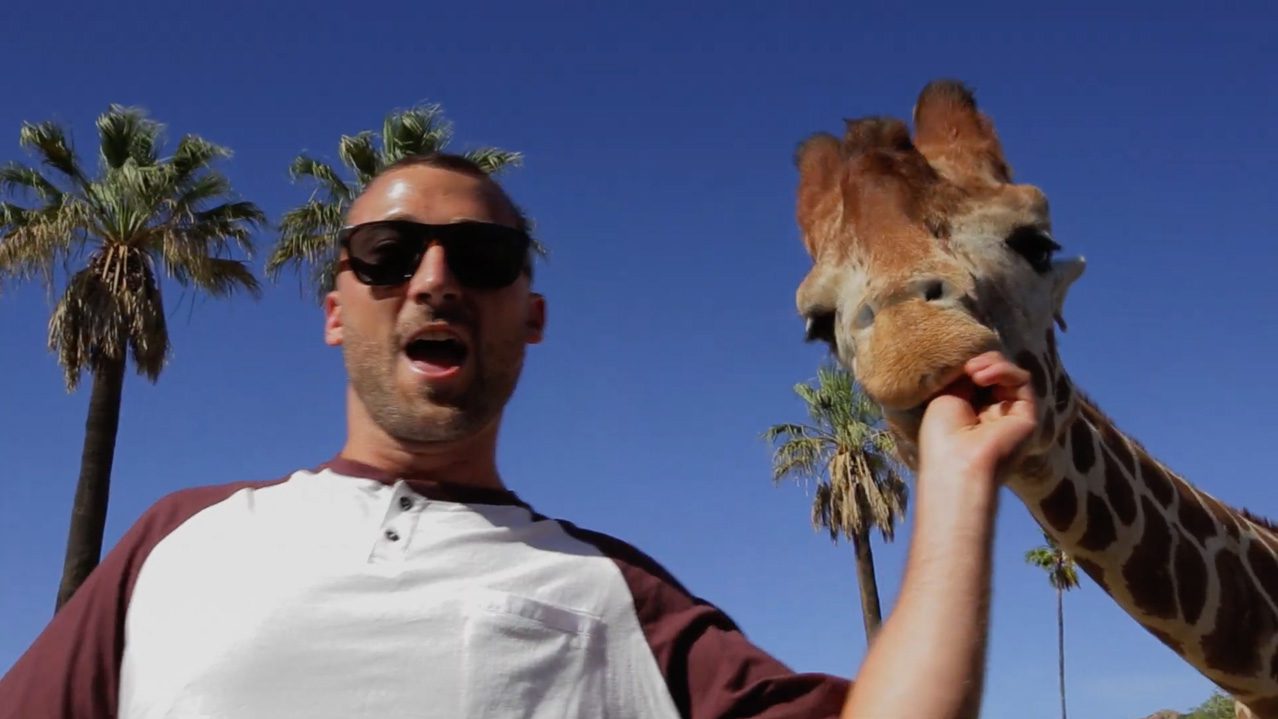 Man wearing sunglasses feeds a giraffe outdoors, with a blue sky and palm trees in the background. | Jerad Schutt | Nashville Marketing Consultant | Fractional CMO | Jerad Schutt | Nashville Marketing Consultant | Fractional CMO